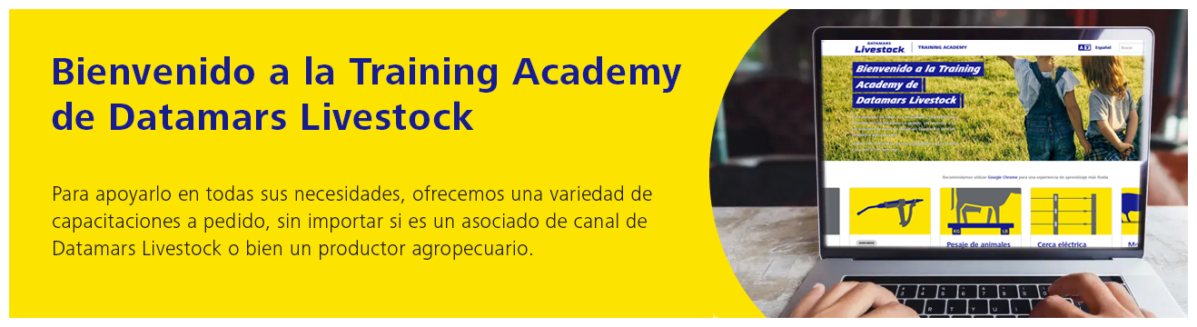 Training academy banner SPANISH 