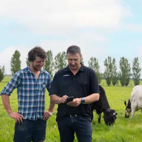 How data is transforming livestock farming in New Zealand  Image