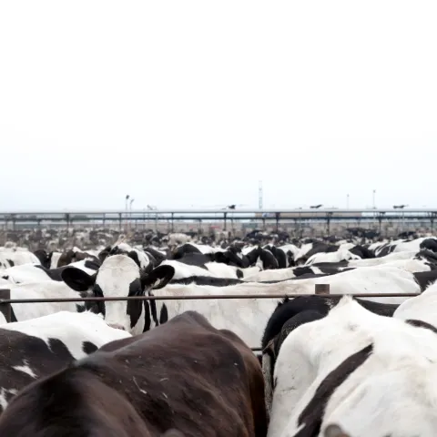 Unseen but Costly image.jpg